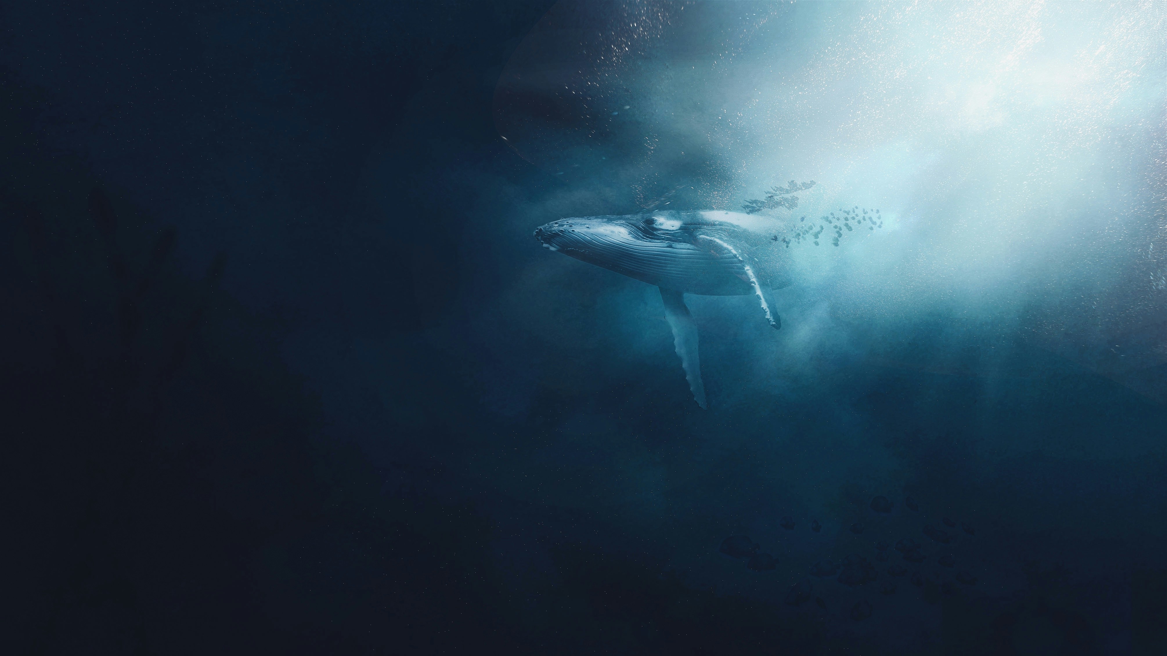 Whale Songs: Long-Distance Communication